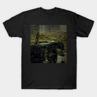 CONTEMPLATION T-Shirt